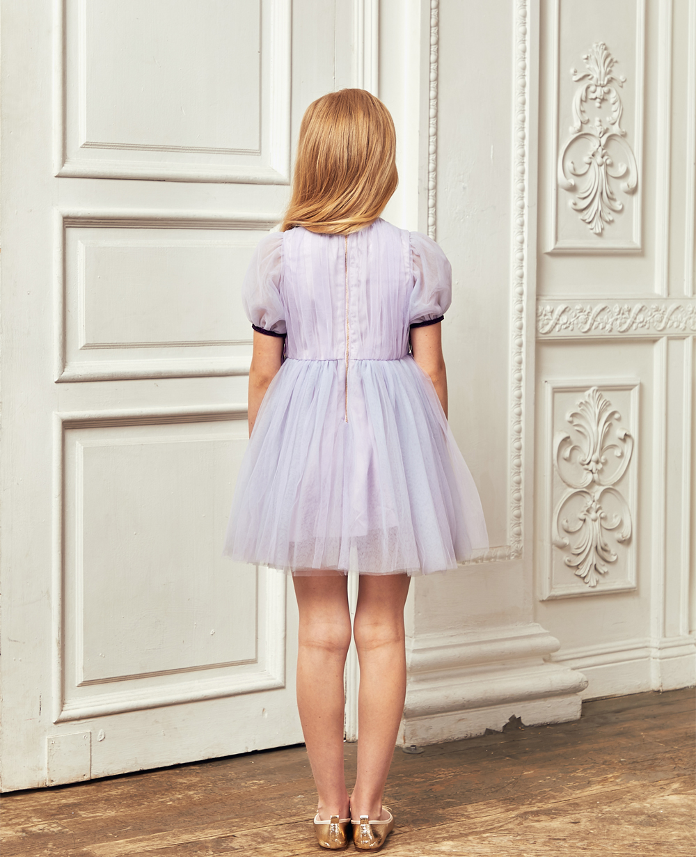 Lilac Tuelle Embroidery Dress