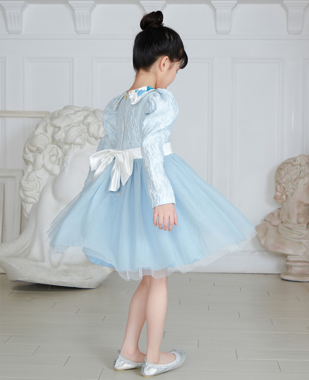 Baby Blue Brocade Long Sleeve Tuelle Dress