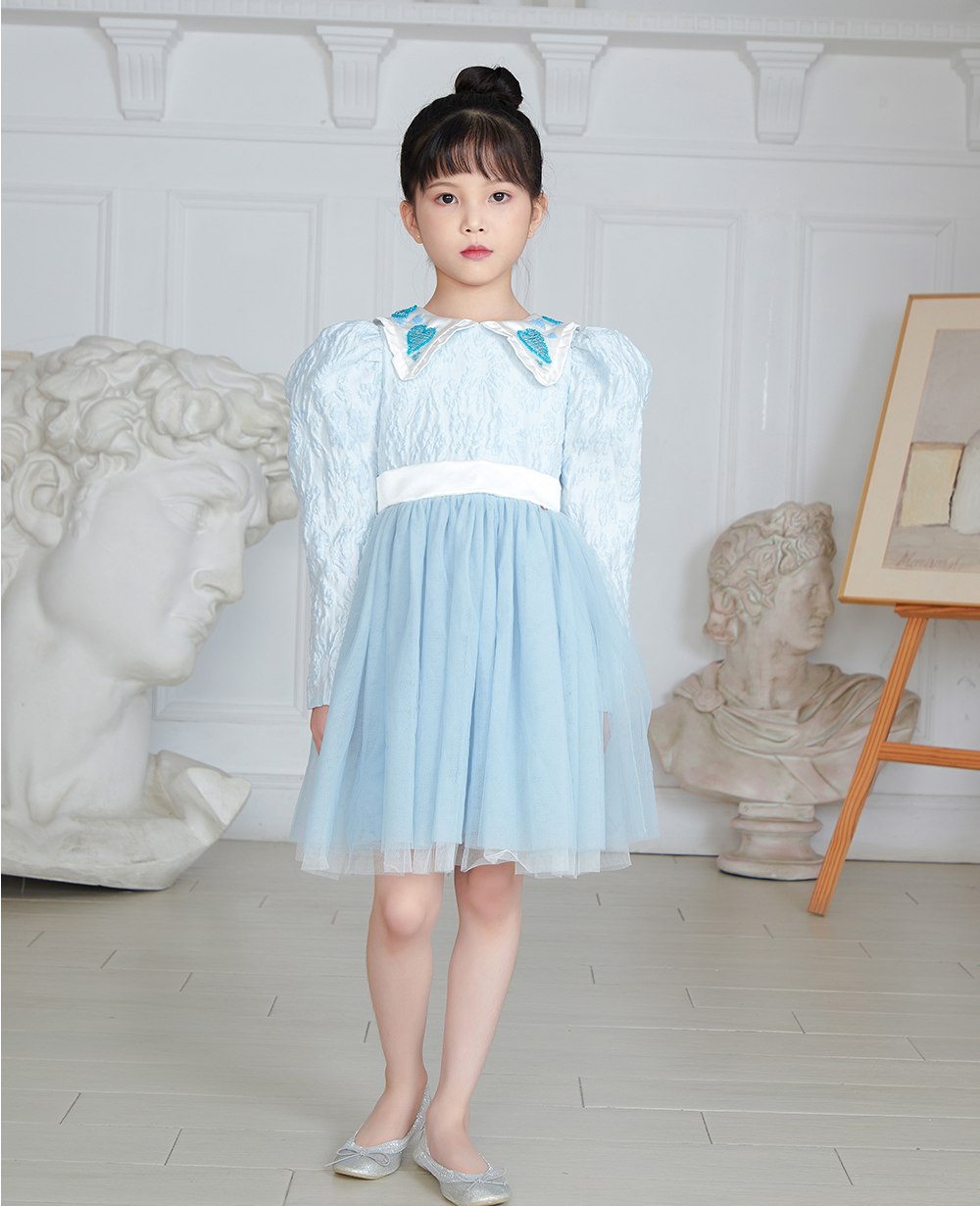 Baby Blue Brocade Long Sleeve Tuelle Dress