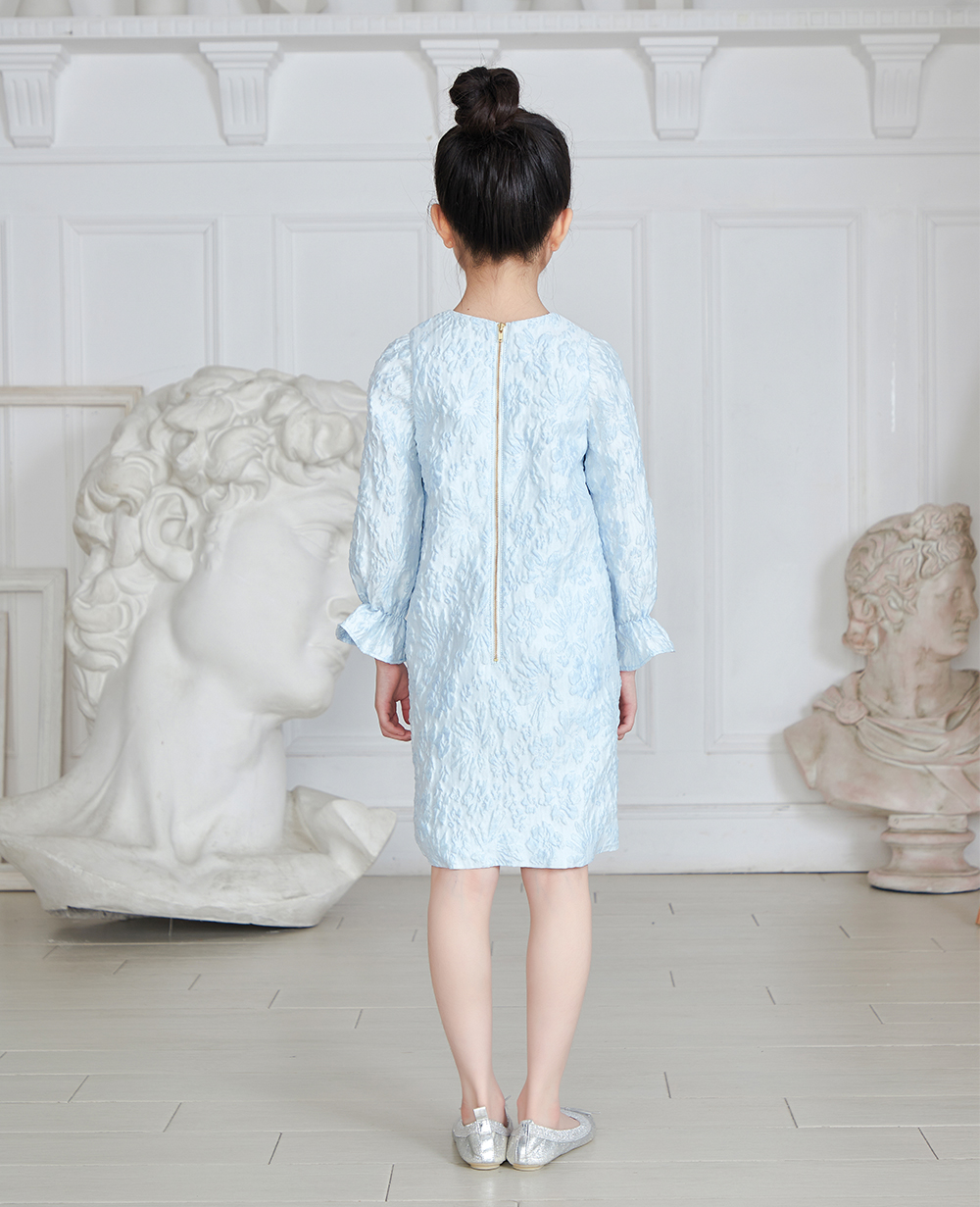 Baby Blue Long Sleeve Brocade Dress