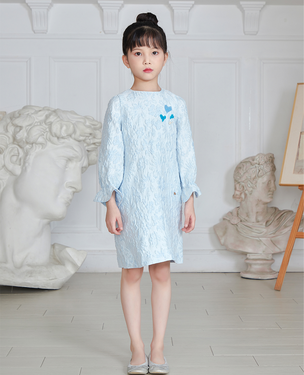 Baby Blue Long Sleeve Brocade Dress
