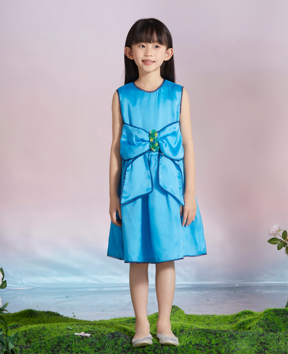 Baby Blue With Big Bow  Dress
