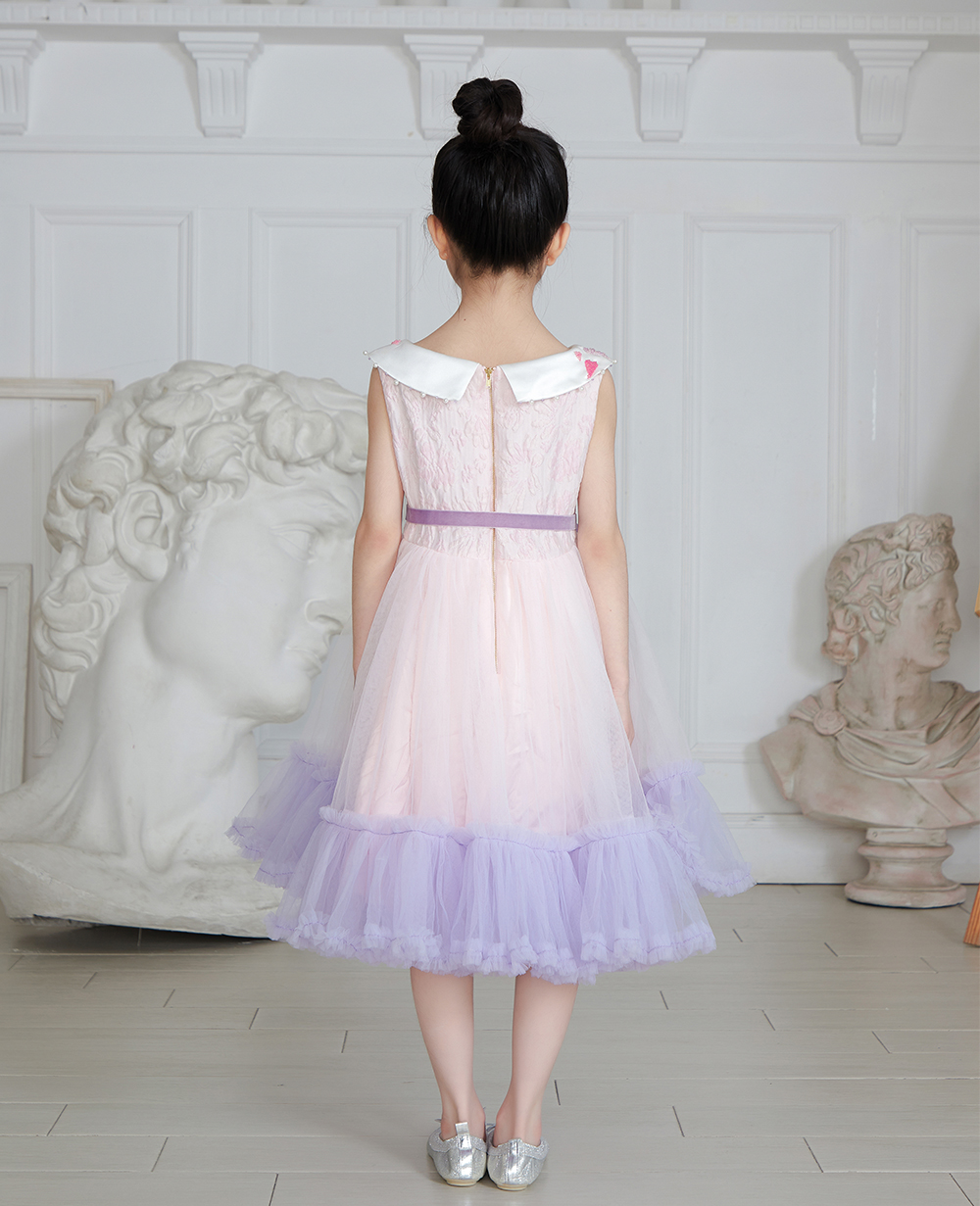 Baby Pink Tuelle and Lilac Long Dress