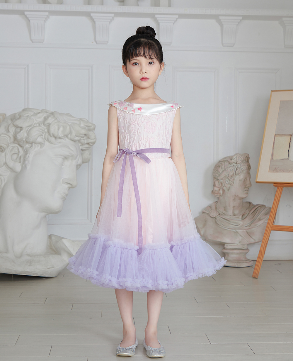 Baby Pink Tuelle and Lilac Long Dress
