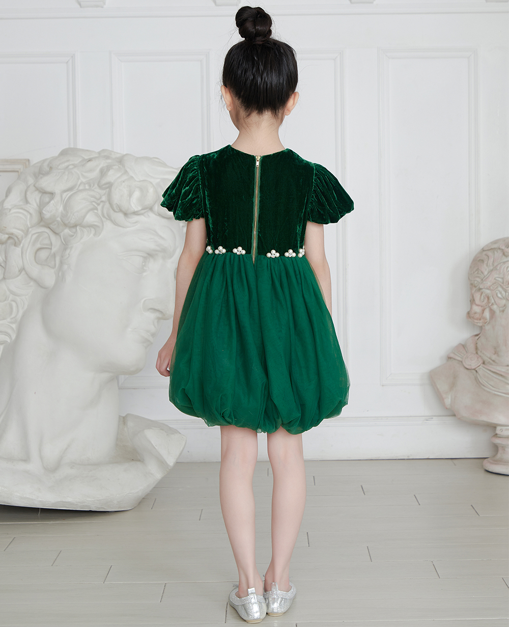 Emerald Green Velvet Top and Tuelle Skirt Dress