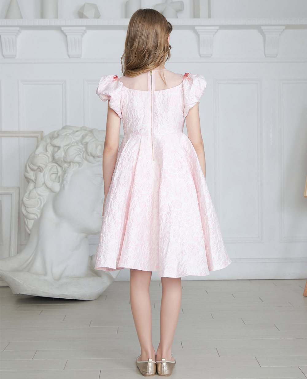 Pink Brocade Dress