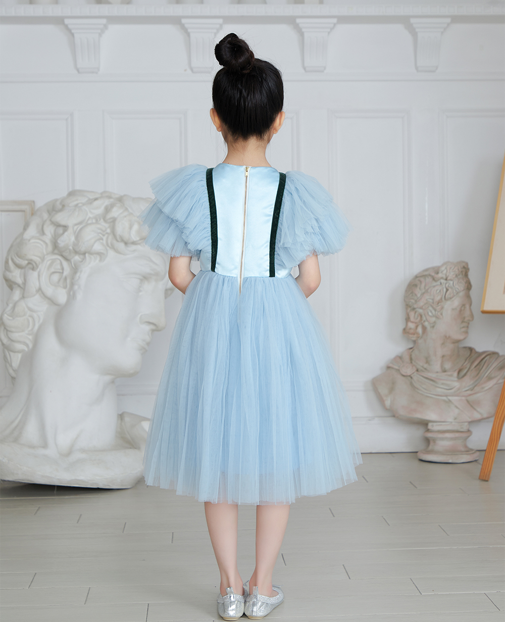 Baby Blue Tuelle Dress