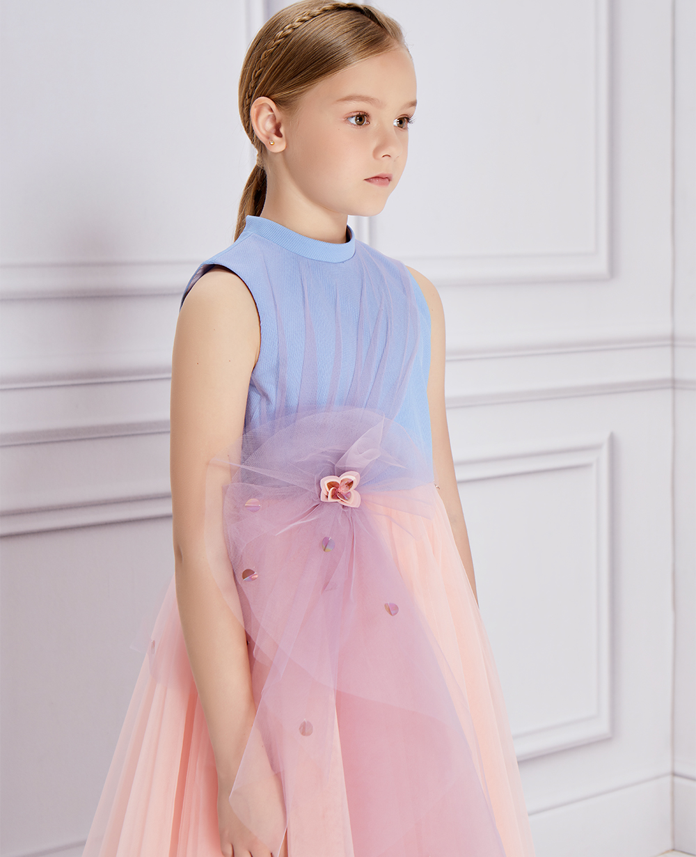 Blue & Pink Tulle Princess Dress