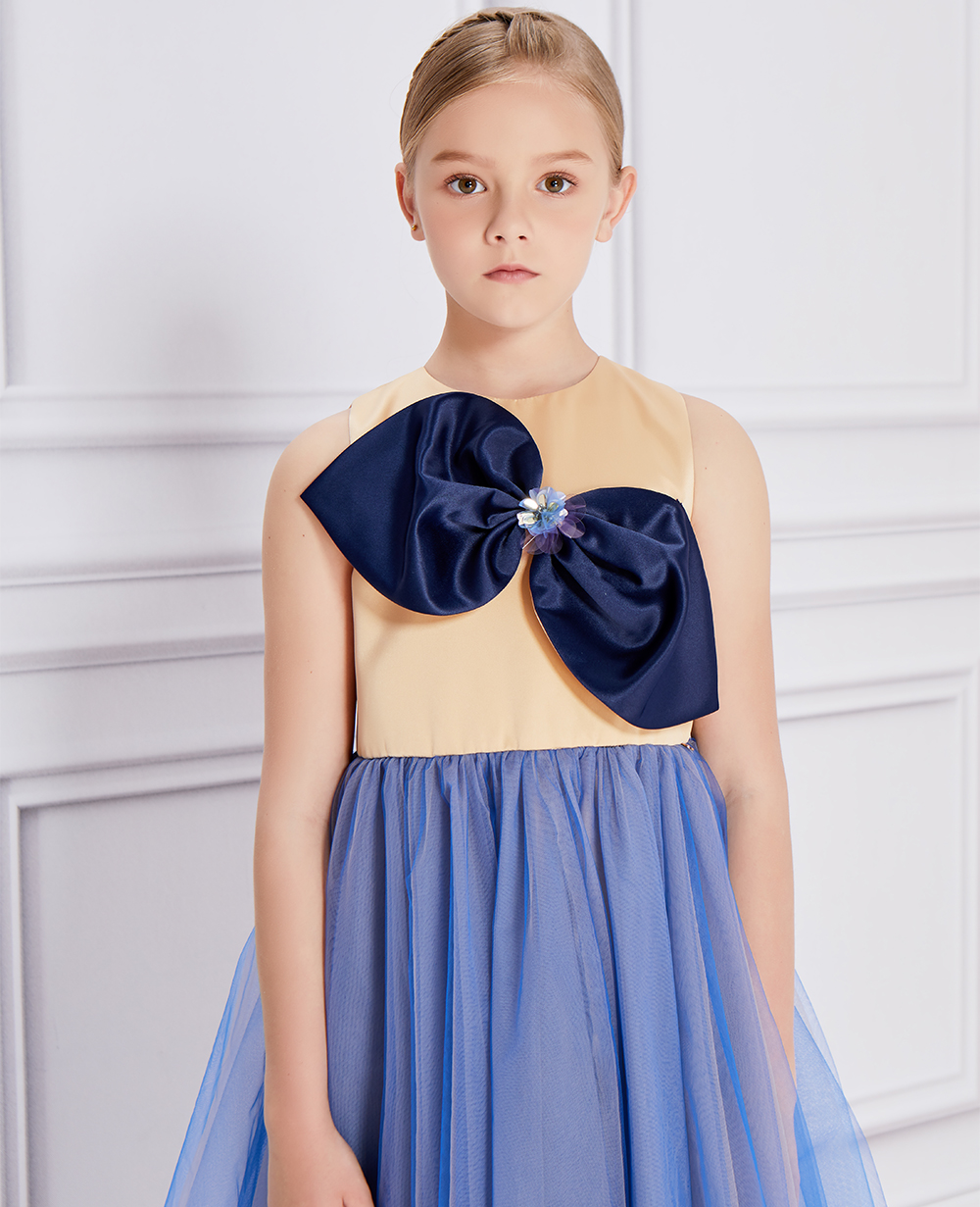 Blue Bow Tulle Dress