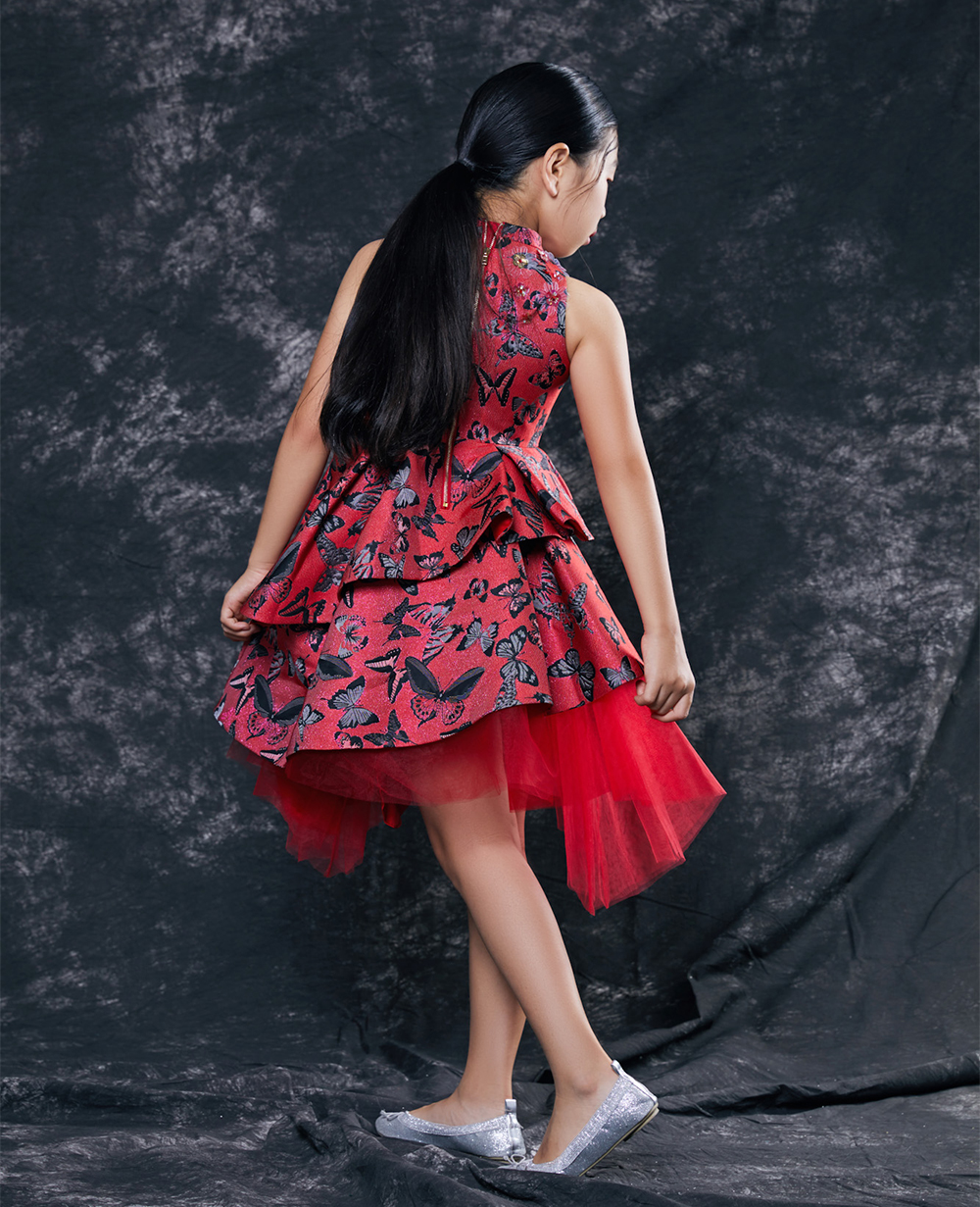 Red Brocade Princess Dress  Sleeveless Floral Dress 