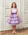 Lilac Queen Bee Tuelle Layered Dress