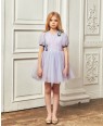 Lilac Tuelle Embroidery Dress
