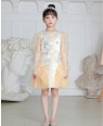 Peach Tuelle Floral Dress