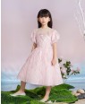 Pink Butterfly Brocade Dress