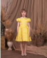 Baby Yellow Capped Sleeve Brocade Dress