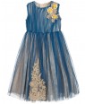 Blue Lace & Tulle Dress  Formal Wear