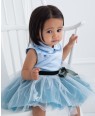 Baby Blue Tuelle Dress