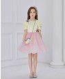 Capped Sleeve Yellow satin and pink tuelle dress