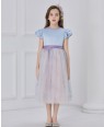 Blue and lilac capped sleeve tuelle dress