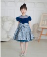 Blue Velvet and Floral Brocade Dress