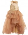 Golden Tulle Dress Lace Dress Ball Gown Sleeveless 