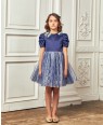 Navy Frilled Sleeve Tuelle Dress