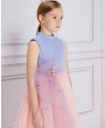 Blue & Pink Tulle Princess Dress
