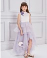 Pale Pink & Lilac Tulle Dress