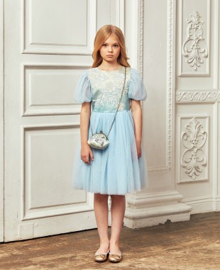 Baby Blue Short Sleeved Floral Embroidery Tuelle Dress