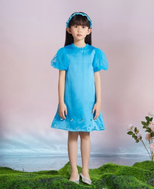 Baby Blue Princess Dress
