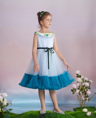 Baby Blue and  Tuelle Dress
