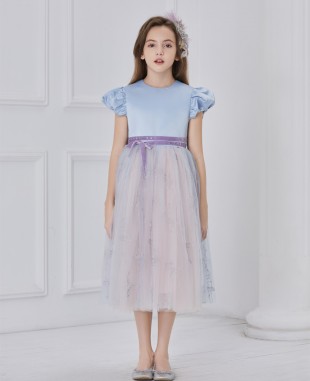 Blue and lilac capped sleeve tuelle dress