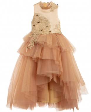 Golden Tulle Dress Lace Dress Ball Gown Sleeveless 