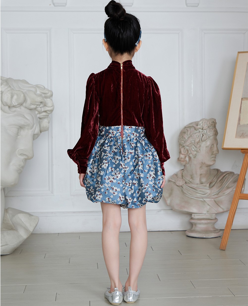 Fall Embroidery Dress Burgandy main image 1