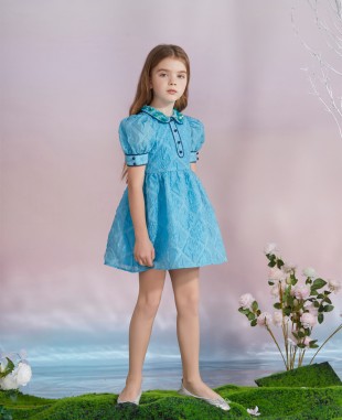 Baby Blue with Navy Trim Short Sleeve Dress