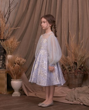 Baby Blue and Silver Brocade Dress