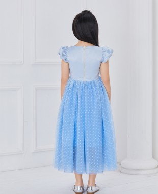 Blue Cinderalla Tuelle Dress