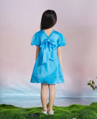 Baby Blue Princess Dress