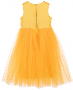 Orange Sleeveless Tulle Dress Embroidered Dress