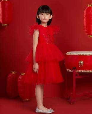 Royal Red Tuelle Dress
