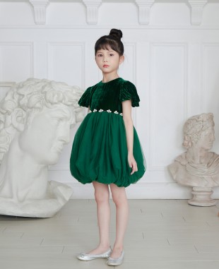 Emerald Green Velvet Top and Tuelle Skirt Dress