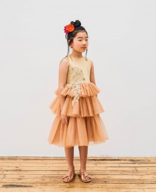 Golden Tulle 3 Tier Layered Dress